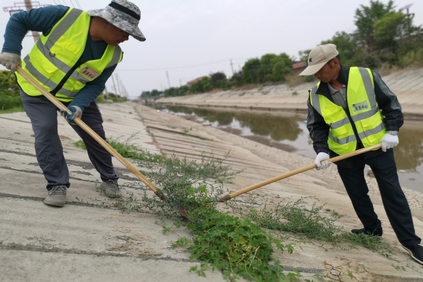 服務(wù)中心護坡除草